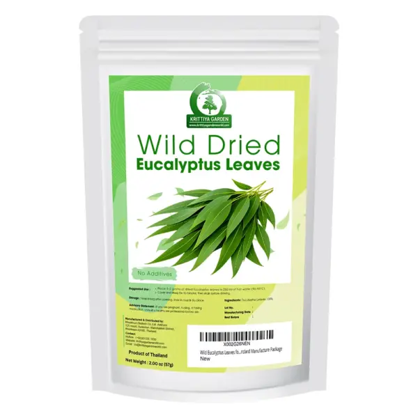 Dried Eucalyptus