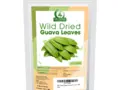 Dried Guava Leaves