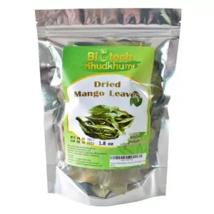 Dried Mango Leaves