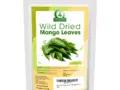 Dried Mango Leaves WBG