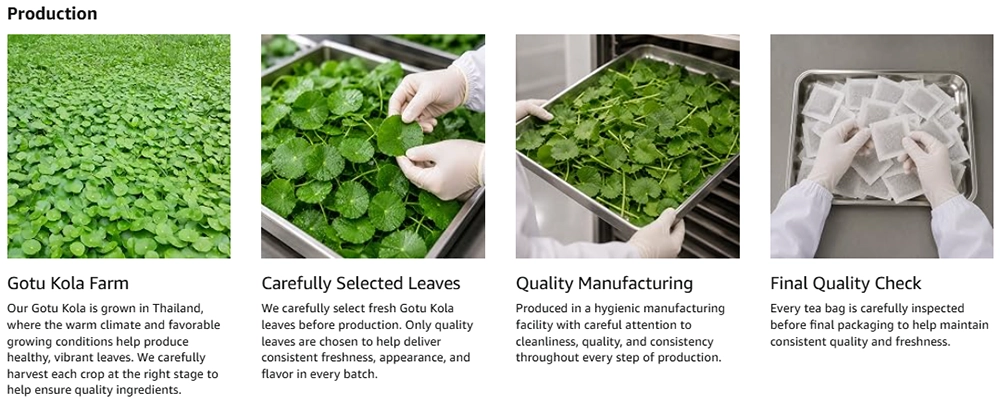 Gotu Kola Tea Production