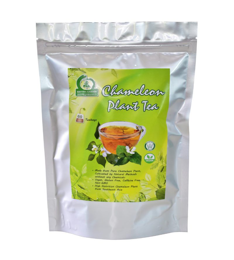 Chameleon Plant Tea 60-Teabags (3.2oz) - Krittiya Garden World
