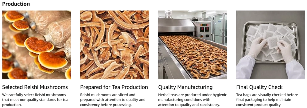 Reishi Mushroom Tea Production