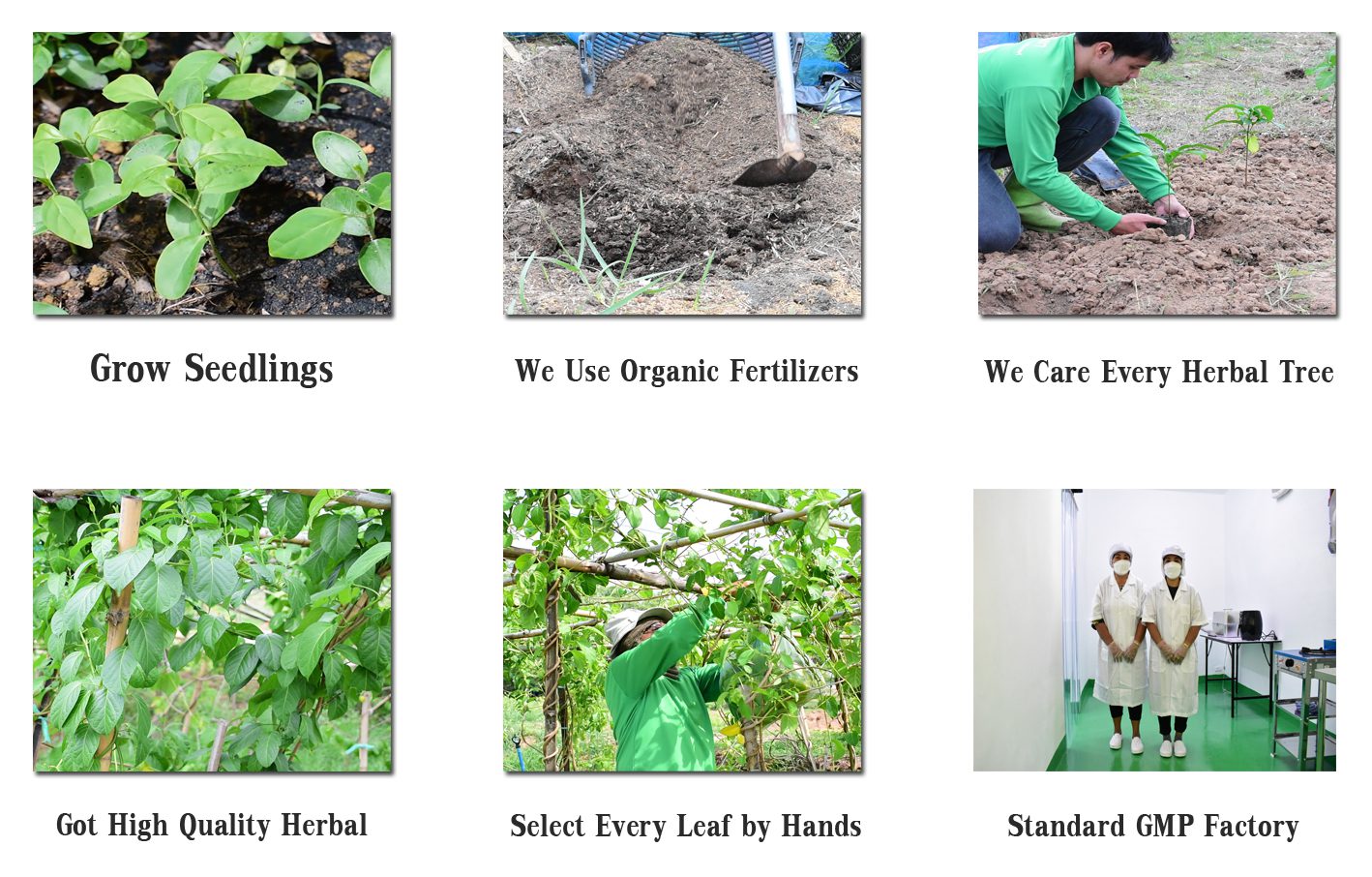 krittiya garden product work flow