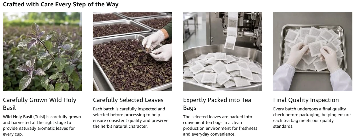 Holy Basil Tea Manufacturing Holy Basil Tea Manufacturing